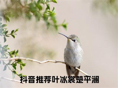 高赞小说（叶冰裳楚平澜小说免费阅读）完结阅读_叶冰裳楚平澜全文免费阅读最新章节大结局