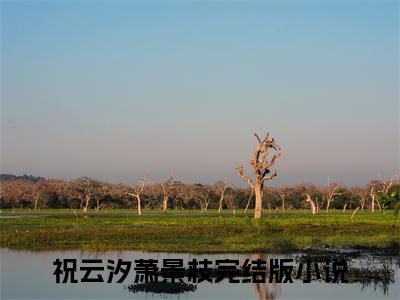 祝云汐萧景枝小说全文免费阅读无弹窗大结局_（祝云汐萧景枝免费阅读无弹窗）最新章节列表_笔趣阁