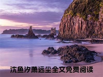 沈鱼汐萧远尘小说完整版在线阅读 沈鱼汐萧远尘精选小说推荐试读