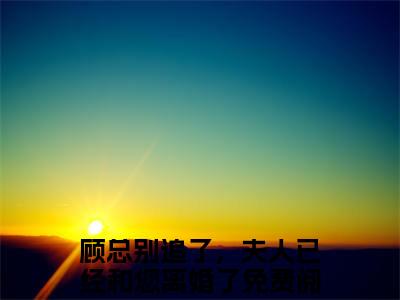 顾江淮谭钰小说全文免费阅读无弹窗-（顾总别追了，夫人已经和您离婚了阅读无弹窗）穿越小说免费阅读_笔趣阁