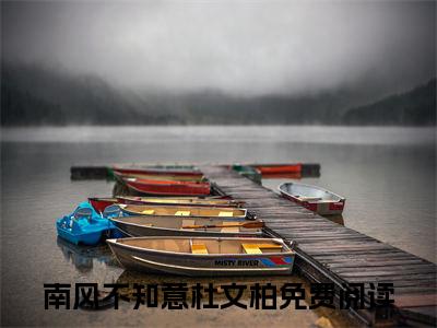 南风不知意杜文柏(南风不知意杜文柏)在线阅读无弹窗大结局-南风不知意杜文柏小说最新章节阅读_笔趣阁（南风不知意杜文柏）