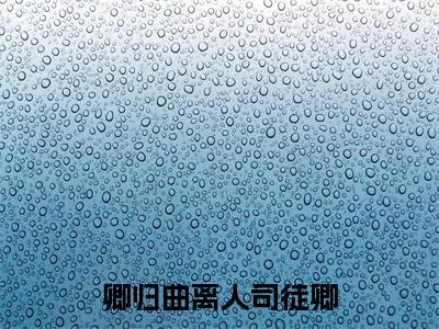 卿归曲离人司徒卿（卿归曲离人司徒卿）全文免费阅读无弹窗_卿归曲离人司徒卿全文免费阅读最新章节大结局_笔趣阁