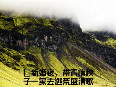 新婚夜，带着病秧子一家去逃荒盛清歌首发小说-新婚夜，带着病秧子一家去逃荒盛清歌(新婚夜，带着病秧子一家去逃荒盛清歌)无删减版全文在线