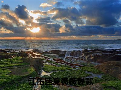 江佑廷夏薇薇小说最新章节试读_江佑廷夏薇薇是(江佑廷夏薇薇)小说主角热门推荐_笔趣阁