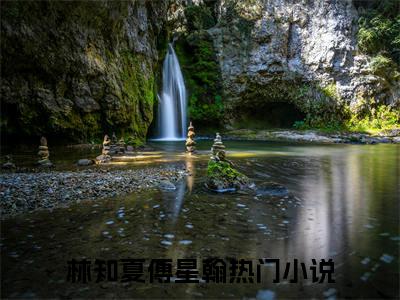 林知夏傅星翰全文免费阅读无弹窗大结局_（林知夏傅星翰在线阅读）林知夏傅星翰最新章节完整版阅读