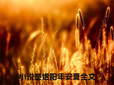 楚煜阳年安夏全文免费阅读无弹窗大结局-楚煜阳年安夏(楚煜阳年安夏小说)最新章节-笔趣阁