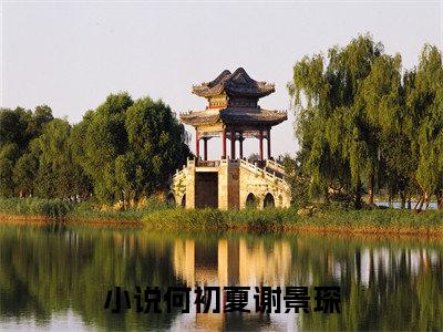 何初夏谢景琛(何初夏谢景琛)全文免费阅读无弹窗大结局_（何初夏谢景琛）何初夏谢景琛免费阅读无弹窗最新章节列表_笔趣阁（何初夏谢景琛）