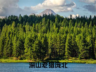 深山老猎庞北全文免费阅读无弹窗大结局-深山老猎庞北全文在线阅读