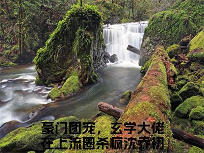 豪门团宠，玄学大佬在上流圈杀疯沈乔初（豪门团宠，玄学大佬在上流圈杀疯沈乔初）全文免费阅读无弹窗大结局_(豪门团宠，玄学大佬在上流圈杀疯沈乔初)免费阅读无弹窗最新章节列表