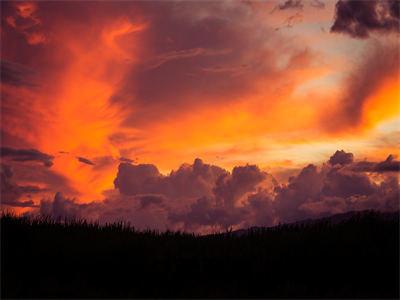 《热门小说夕柔莫桑》最新章节by夕柔莫桑完整版在线阅读