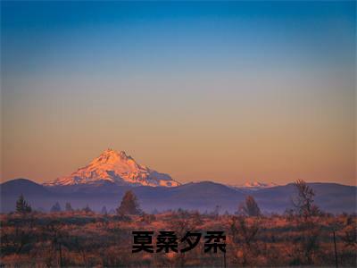 莫桑夕柔（莫桑夕柔）全文小说完整版-（莫桑夕柔）莫桑夕柔全文无删减免费阅读