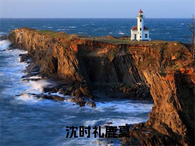 沈时礼鹿夏热门小说（沈时礼鹿夏）最新章节阅读-沈时礼鹿夏小说最后结局如何