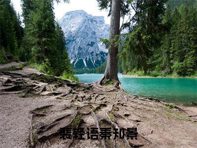 裴轻语秦知景（裴轻语秦知景）全文免费阅读无弹窗大结局_裴轻语秦知景最新章节列表（裴轻语秦知景）