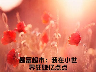 暴富超市：我在小世界狂赚亿点点（许婧）全文阅读完整版_许婧小说免费阅读大结局（暴富超市：我在小世界狂赚亿点点）