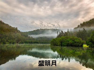 死期将至，总裁老婆疯狂折磨我免费阅读无弹窗，小说盛明月大结局全文免费阅读