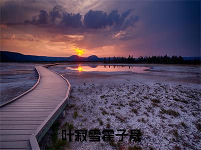 叶寂雪霍子晟（叶寂雪霍子晟）全文免费阅读无弹窗大结局_（叶寂雪霍子晟）最新章节列表笔趣阁