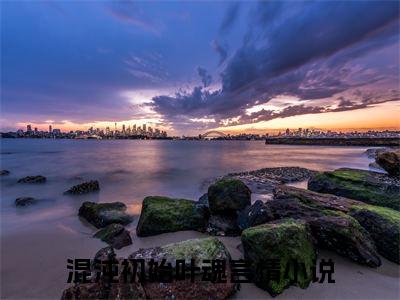 混沌初始叶魂(混沌初始叶魂)全文免费阅读无弹窗_(混沌初始叶魂)混沌初始叶魂最新章节列表笔趣阁（混沌初始叶魂）
