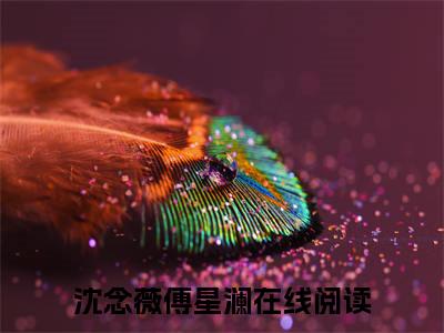 沈念薇傅星澜（沈念薇傅星澜）全文免费阅读无弹窗大结局_（沈念薇傅星澜）已完结全集大结局小说