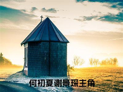 何初夏谢景琛全文免费阅读无弹窗-何初夏谢景琛小说全文在线赏析_笔趣阁（何初夏谢景琛）