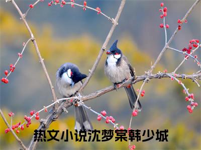 沈梦棠韩少城全文免费阅读(沈梦棠韩少城)全文免费阅读无弹窗大结局_(沈梦棠韩少城)沈梦棠韩少城小说免费阅读无弹窗最新章节列表_笔趣阁(沈梦棠韩少城)