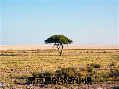 秦可真黎牧野（秦可真黎牧野）小说-秦可真黎牧野小说免费阅读