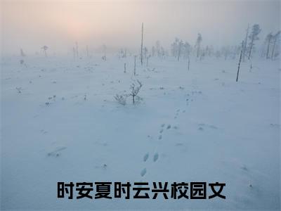 时安夏时云兴(时安夏时云兴）小说全文免费读无弹窗大结局_时安夏时云兴小说章节试读最新章节列表笔趣阁