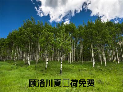 顾洛川夏萩荷小说免费(顾洛川夏萩荷)全文免费阅读无弹窗（顾洛川夏萩荷小说）最新章节列表_笔趣阁