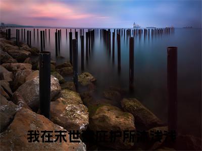 我在末世建庇护所沐浅浅(我在末世建庇护所沐浅浅）小说全文免费阅读无弹窗大结局_我在末世建庇护所沐浅浅全文免费阅读