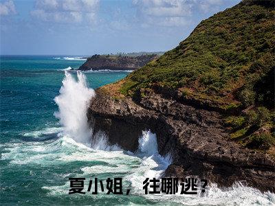 夏芷司珩（夏小姐，往哪逃？）全文免费阅读无弹窗大结局_夏小姐，往哪逃？小说最新章节列表_笔趣阁