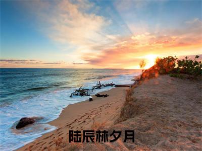 陆辰林夕月全文免费阅读无弹窗大结局_(陆辰林夕月小说)陆辰林夕月无弹窗最新章节列表