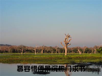 慕容惜傅景沉在线阅读全文免费阅读无弹窗大结局_慕容惜傅景沉最新章节列表_笔趣阁