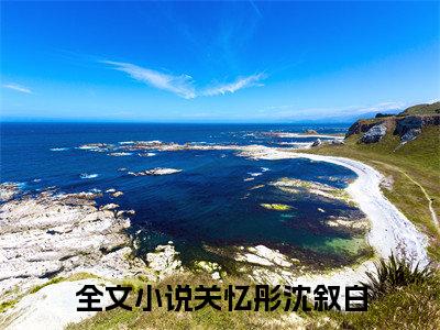 关忆彤沈叙白无弹窗免费阅读 关忆彤沈叙白大结局无删阅读_笔趣阁