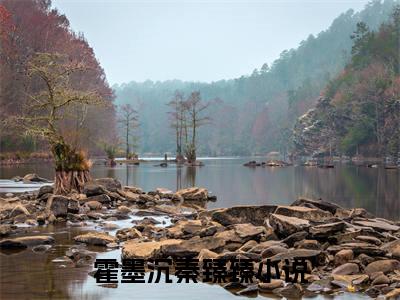 霍墨沉秦臻臻（霍墨沉秦臻臻）小说-霍墨沉秦臻臻小说免费阅读