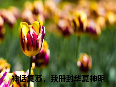 苏离（神话复苏，我册封华夏神明）全文免费阅读_苏离（神话复苏，我册封华夏神明）最新章节列表笔趣阁