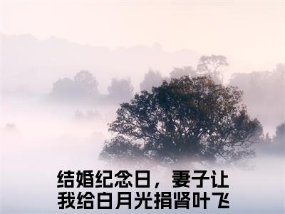 结婚纪念日，妻子让我给白月光捐肾（叶飞全文小说）全文免费阅读无弹窗大结局_叶飞全文免费阅读最新章节列表