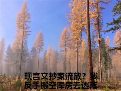 《抄家流放？我反手搬空库房去逃荒阮云笙》全文免费阅读最新章节大结局-抄家流放？我反手搬空库房去逃荒阮云笙无弹窗阅读