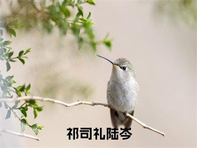 祁司礼陆岑小说全文（祁司礼陆岑）全文免费阅读无弹窗大结局_祁司礼陆岑全文免费阅读无弹窗最新章节列表_笔趣阁