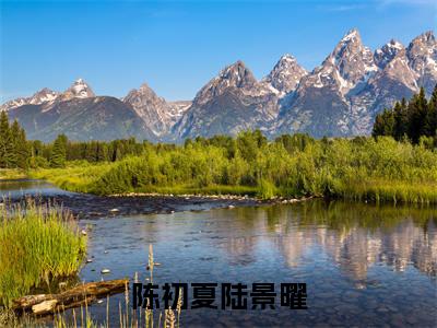 陈初夏陆景曜(陈初夏陆景曜)全文免费阅读无弹窗大结局_(陈初夏陆景曜免费阅读全文大结局)最新章节列表_笔趣阁（陈初夏陆景曜）