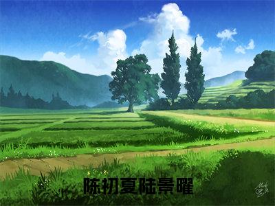 陈初夏陆景曜在哪看无弹窗全文