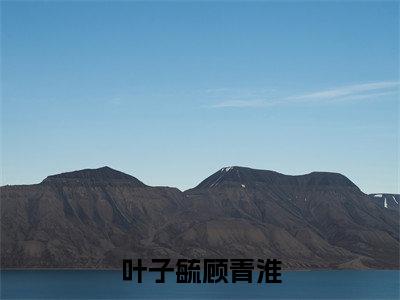 叶子毓顾青淮（叶子毓顾青淮）免费阅读无弹窗大结局-叶子毓顾青淮（最新全章节大结局）全文阅读