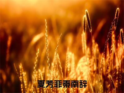 完本小说（夏芳菲秦南辞）精彩试读-夏芳菲秦南辞小说大结局