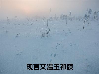 温玉祁颂免费阅读无弹窗，小说温玉祁颂大结局全文免费阅读