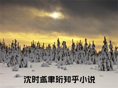 沈时鸢聿珩最新章节（沈时鸢聿珩）全文免费阅读无弹窗大结局_沈时鸢聿珩小说全文免费阅读正版无弹窗