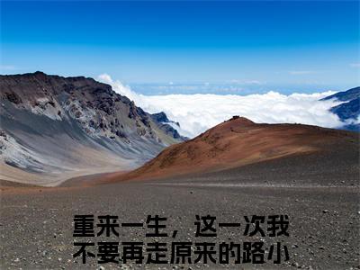 段华芳隋行之全文免费阅读_（重来一生，这一次我不要再走原来的路免费阅读无弹窗）段华芳隋行之最新章节在线阅读笔趣阁