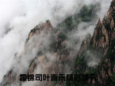 霍锦司叶青禾全文免费完整版-小说霍锦司叶青禾（霍锦司叶青禾）已完结全集大结局