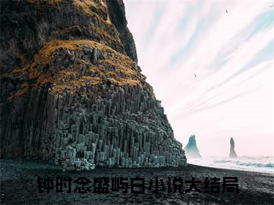 钟时念盛屿白（钟时念盛屿白）小说免费阅读完结版-钟时念盛屿白小说全文免费阅读