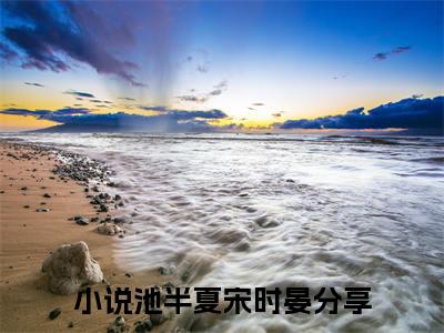 池半夏宋时晏完整版《池半夏宋时晏》全文阅读