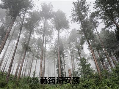 赫筠深安颜精选热门小说无弹窗-赫筠深安颜在线赏析