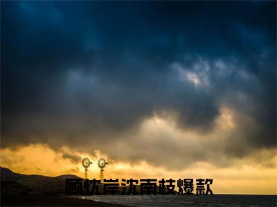 微小说（顾忱岸沈南枝）-（顾忱岸沈南枝）全文免费阅读