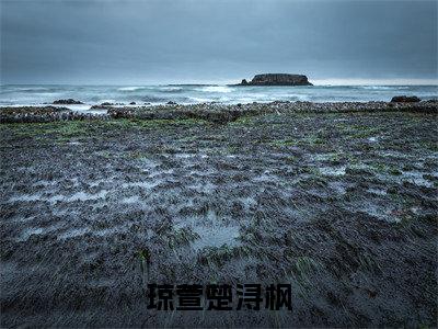 抖音热推琼萱楚浔枫（琼萱楚浔枫）免费小说-琼萱楚浔枫小说完整版阅读